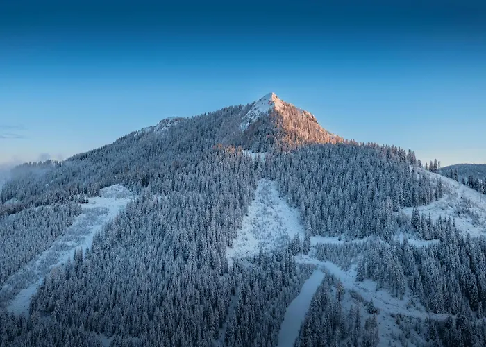 In - Ana Hohentauern